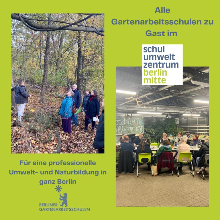 Alle Gartenarbeitsschulen Berlins zu Gast im Schul-Umwelt-Zentrum Mitte