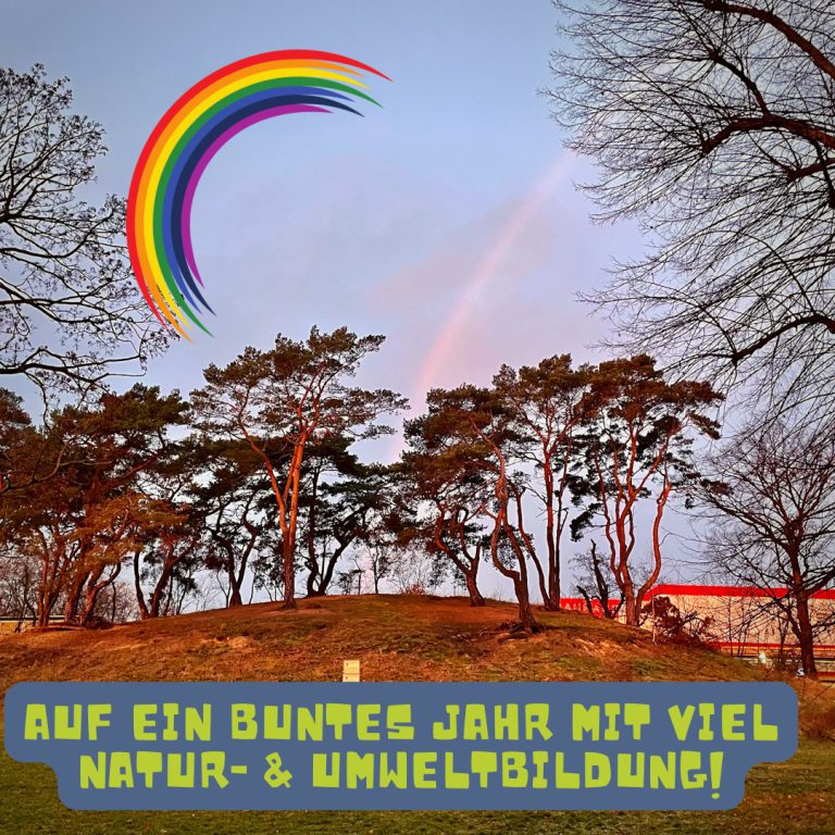 Neujahrsgrüße