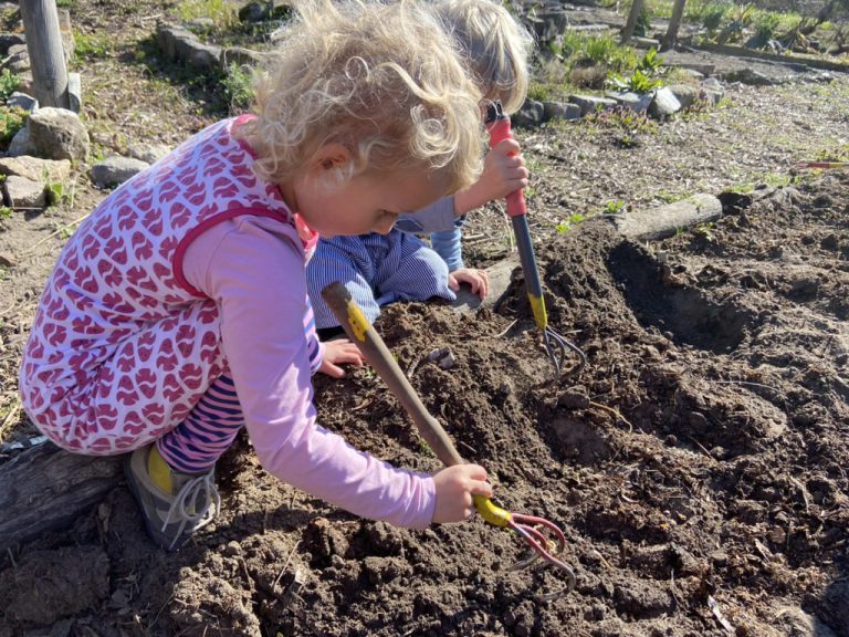 Noch wenige Beete zu vergeben!